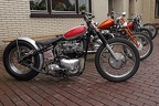 triumph diamond in the rough