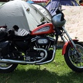 harley_sportster_camping_2273.jpg