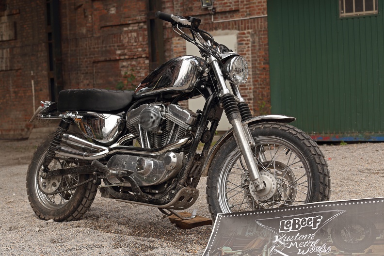 panhead_cross_lebeef_5393.jpg