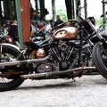 Messing Harley