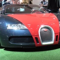 Bugatti_Veyron_8370.jpg