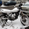Suzuki  Schnee