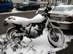 Suzuki  Schnee