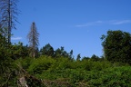 Mond Landschaft