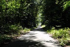 Waldweg