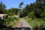 Holzstapel am Weg