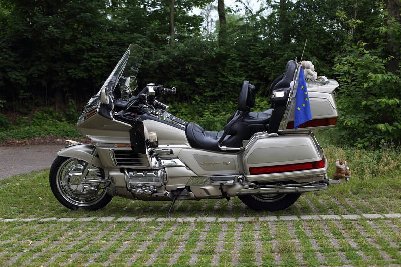 goldwing_2086.jpg