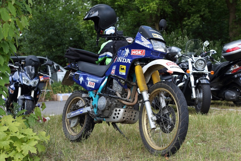 honda_nx650_5546.jpg