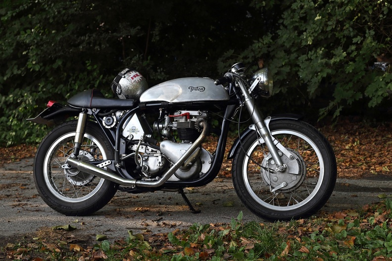 triumph_6555.jpg