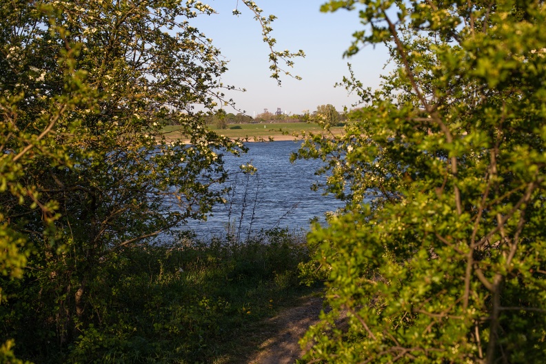 Durchblick vom linksrheinischen Homberger Rheinufer auf die beiden Großhochöfen von Thyssen Krupp Steel Europe in Schwelgern durchblick_hochoefen_1002.jpg