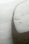 Eisscholle (2755 visits) Nach einer Woche Tauwetter haben sich Risse in der Eisdecke am Wolfssee gebildet. Eisscholle