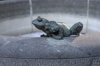 Frosch