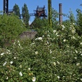 Natur und Industrie