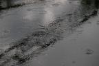 Regenmuster