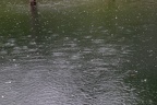Regen