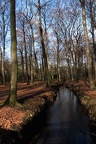 Bach im Winterwald
