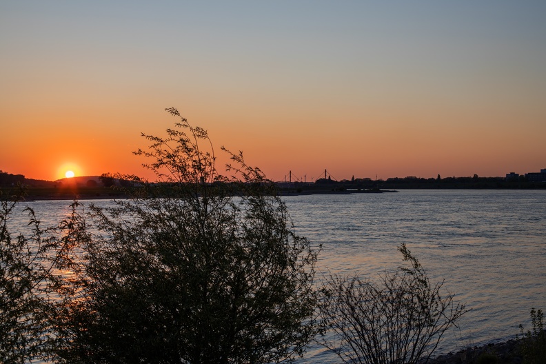 Sonnenuntergang am Laarer Rheinufer sonnenuntergang_1031.jpg