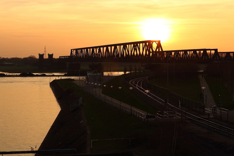 Sonnenuntergang Rheinpark