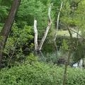 Teich Landschaftspark