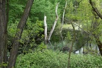 Teich Landschaftspark