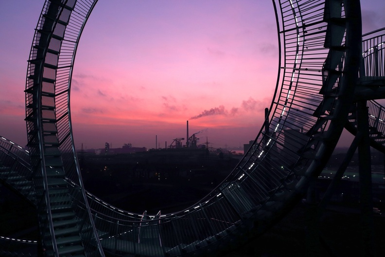 tiger_turtle_2530.jpg