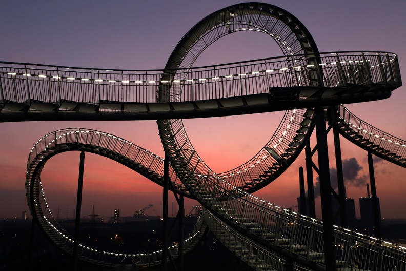 tiger_turtle_2535.jpg