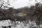 Bunte Tretboote