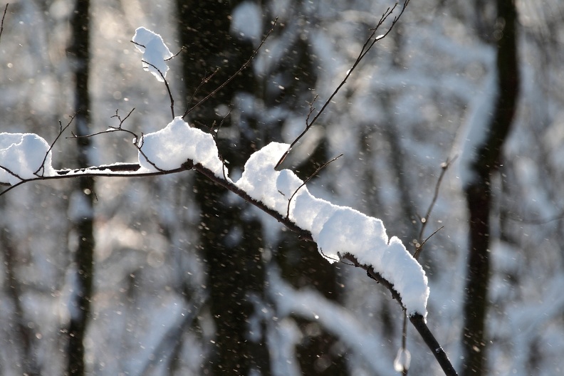 winter_8349.JPG