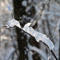 Winterimpression