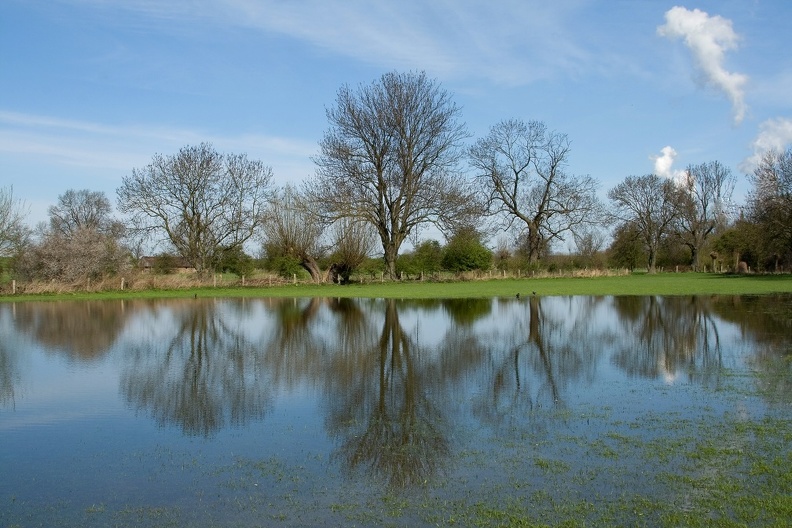 Spiegelung
