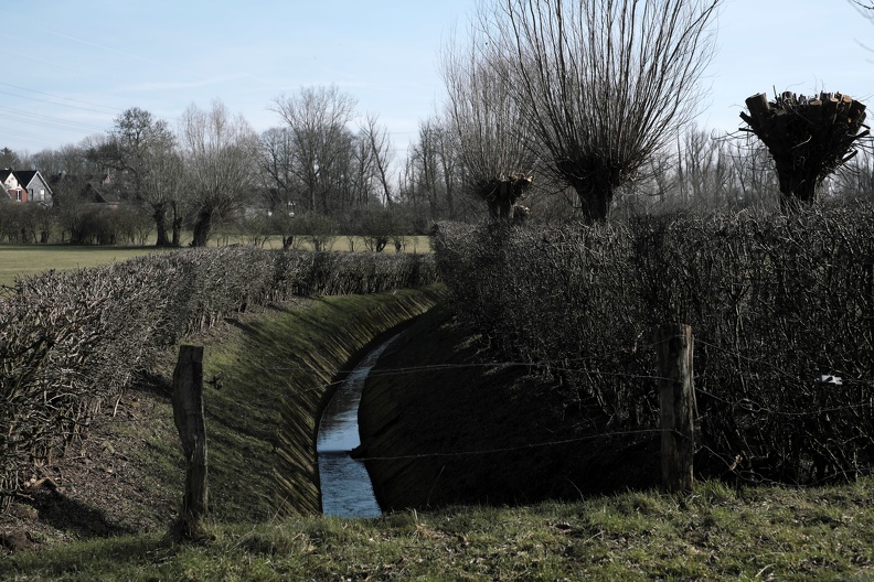 bachlauf.jpg