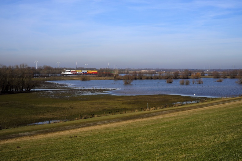 Container im Naturschutzgebiet