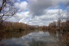 Rheinaue Walsum