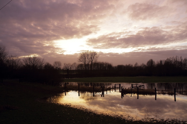 Rheinaue Walsum bei Hochwasser