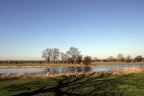 Auenlandschaft
