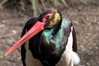 Zoo Duisburg