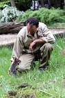 Tierpfleger mit Bennett Känguruh