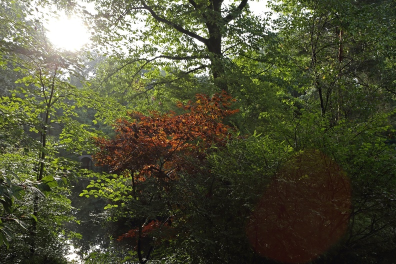 Chinesischer Garten