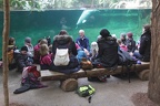 Unterricht (2004 visits) Neben der Haltung und Zucht von Tieren ist nach der Definition der Welt-Zoo-Naturschutzstrategie die... Unterricht