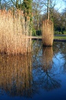 Auf dem Friedhof