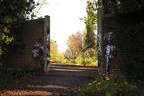 Graffiti an der Mauer