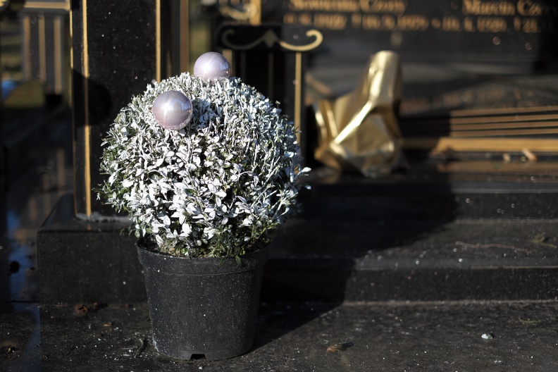 Grabdekoration zu Weihnacht