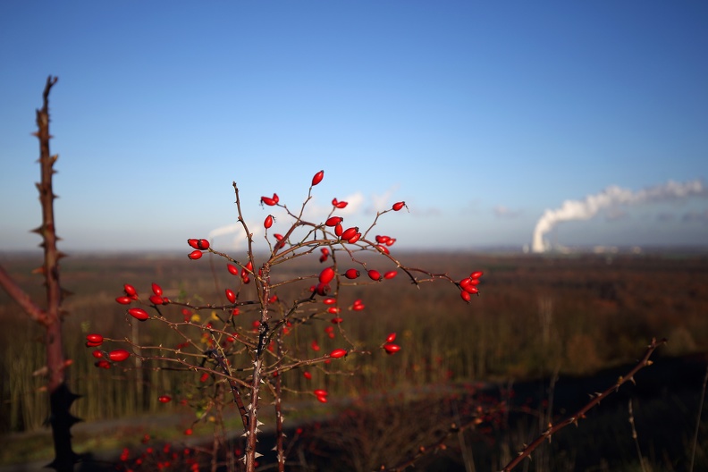 Natur und Industrie