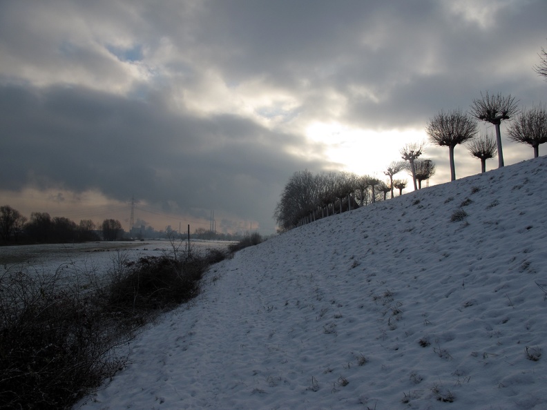 Rheindeich im Winter