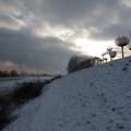 Rheindeich im Winter