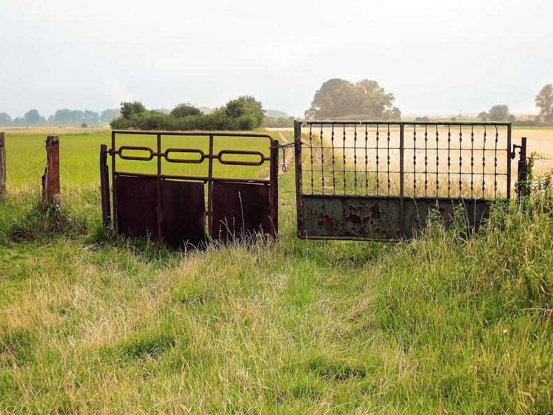 Tor im Feld