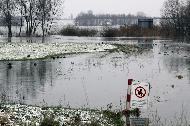 Hundekot verboten