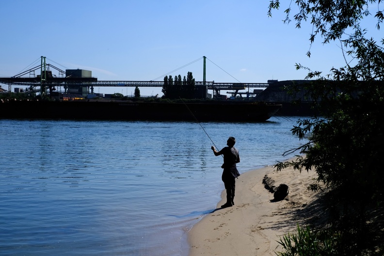 Angler morgens oder abends am Rhein zu finden fällt nicht schwer. Das besondere ist die Industriekulisse. angler_am_rhein.jpg