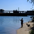 Angler am Rhein