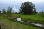 Bach am Rhein 